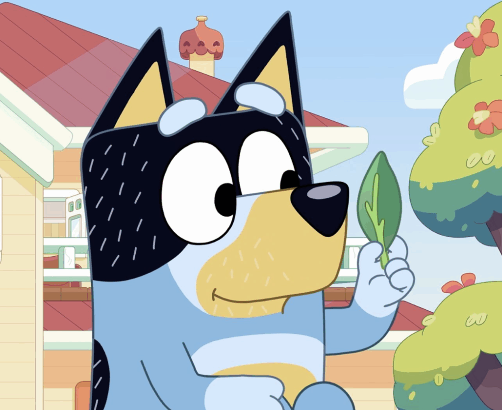 Bandit Heeler Born Yesterday