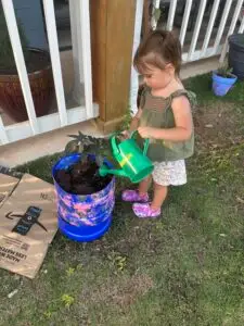 Photosynthesis for Toddlers- plant education