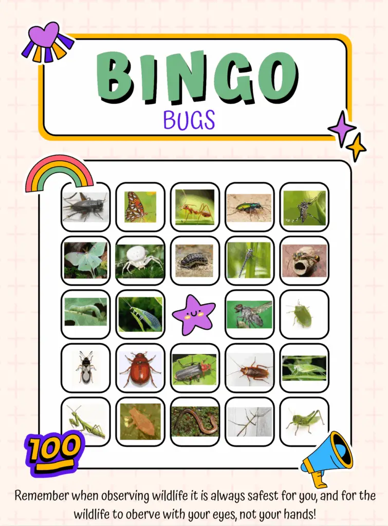 nature walk bing activities for toddlers